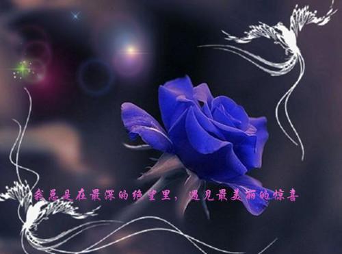 于星垂月涌分离全文免费阅读（沈南枝楚萧笙）小说全文免费阅读无弹窗_（于星垂月涌分离）小说全文免费阅读最新章节列表笔趣阁（沈南枝楚萧笙）