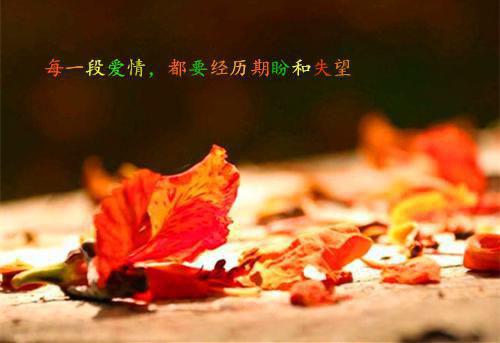 黎汐秦厉寒小说（黎汐秦厉寒）黎汐秦厉寒小说全文免费阅读_黎汐秦厉寒（黎汐秦厉寒）最新章节目录笔趣阁（黎汐秦厉寒）