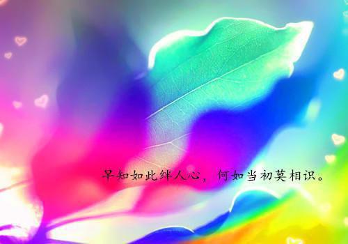 沈步微顾元湛小说（沈步微顾元湛）无弹窗大结局-沈步微顾元湛（沈步微顾元湛）完整版免费阅读