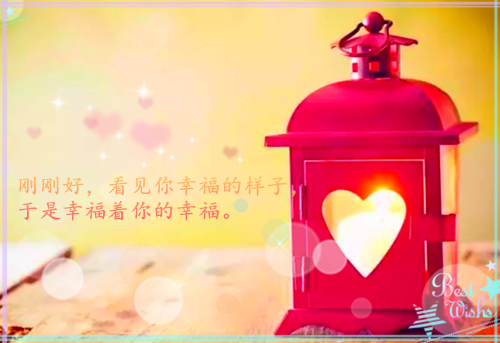 上官海桐谢秋光小说免费阅读 主母重生退婚摄政王哭着求入赘完整版全文大结局