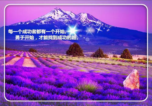 主角叫钱满满的小说 （御兽，我的小吃摊顾客全是异兽）钱满满全文无弹窗完整版阅读