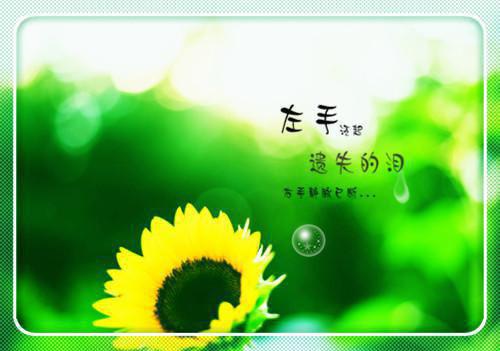 白洛瑶靳北小说(白洛瑶靳北)全文免费阅读无弹窗大结局_ 白洛瑶靳北小说最新章节列表_笔趣阁（白洛瑶靳北）