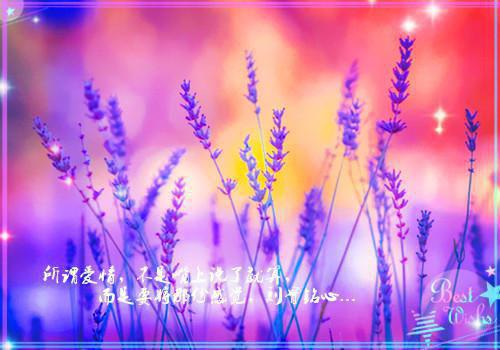 花滑女王（桑予纪瑾南 ）笔趣阁免费小说_花滑女王笔趣阁全文阅读（桑予纪瑾南 ）