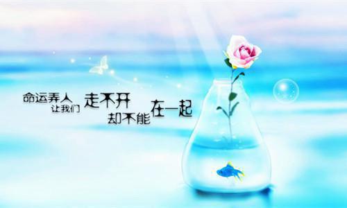 宋京韶周淑怡全集小说完整版大结局_周淑怡宋京韶完结版在线阅读
