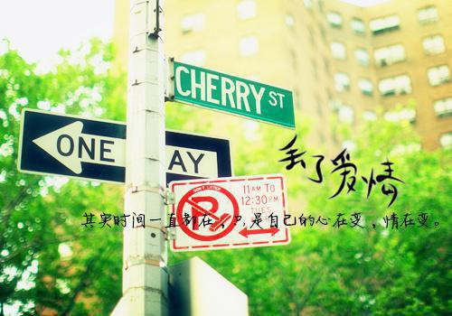 季承礼姜晓柠免费阅读无弹窗大结局，姜晓柠季承礼最新章节