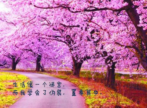 破产千金，我靠玄学重回巅峰（宋倪）全文免费阅读无弹窗大结局_（破产千金，我靠玄学重回巅峰）最新章节列表_笔趣阁（宋倪）