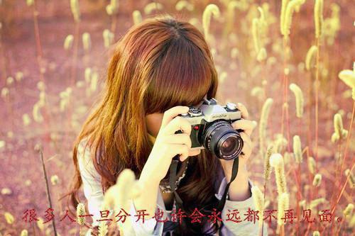 疯批美人是尸王，开局制造末世小说名字盛安夏完结版全章节阅读
