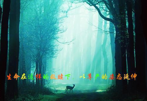 施凤阳张思蕾（施凤阳张思蕾）全文免费阅读无弹窗_（施凤阳张思蕾小说全文免费阅读）施凤阳张思蕾最新章节列表笔趣阁（施凤阳张思蕾）