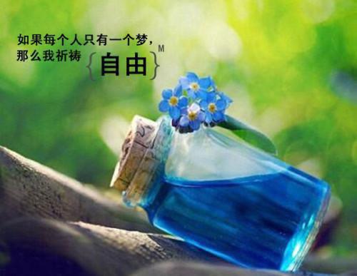 于星垂月涌分离小说全文免费阅读(楚萧笙沈南枝)全文免费阅读无弹窗大结局_(于星垂月涌分离小说免费阅读)楚萧笙沈南枝免费阅读无弹窗最新章节列表_笔趣阁（楚萧笙沈南枝）