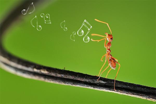 寻找我的孩子小说(顾炎陈芸)全文免费阅读无弹窗大结局_(寻找我的孩子小说免费阅读)寻找我的孩子免费阅读无弹窗最新章节列表_笔趣阁（顾炎陈芸）,