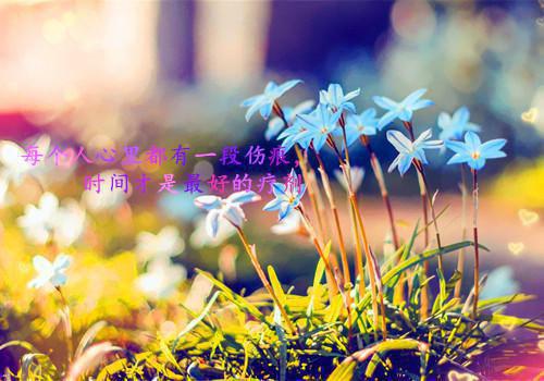 林知夏庄嘉许小说全文无删减-林知夏庄嘉许林知夏庄嘉许小说大结局免费阅读