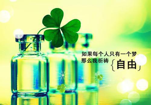 郁翡贺廷川贺骁之（郁翡贺廷川贺骁之）全文免费阅读无弹窗大结局_(郁翡贺廷川贺骁之后续大结局)郁翡贺廷川贺骁之最新章节列表_笔趣阁（郁翡贺廷川贺骁之）