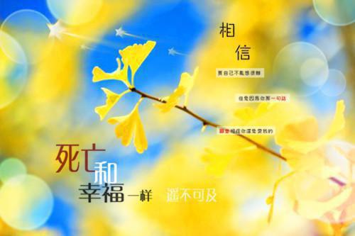 苏时鸢霍观止小说（苏时鸢霍观止）最新章节阅读-苏时鸢霍观止免费阅读无弹窗大结局