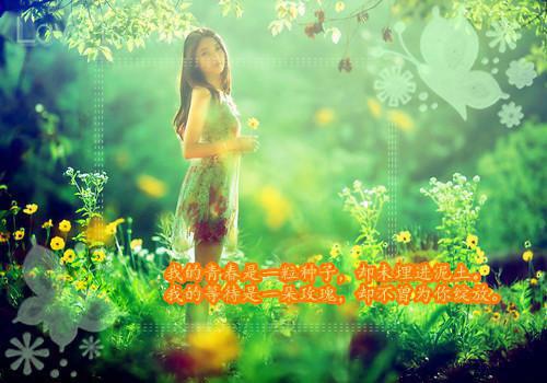 凌澈,乔如意全章节_，凌布宣跪离批不起婚少长疯小说阅读
