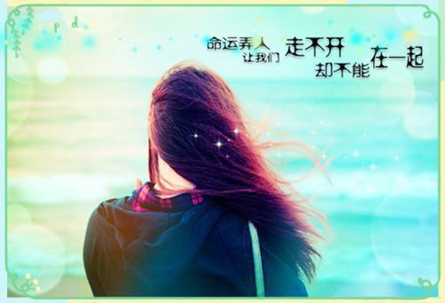宋衍沉林烟歆老书虫推荐小说 宋衍沉林烟歆热门小说最新章节阅读