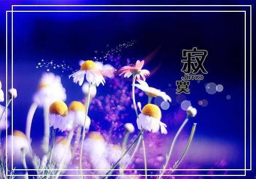 2024最火热门小说（孤岛废墟小说）在线阅读-裴行之阮流筝精彩小说孤岛废墟小说全文赏析