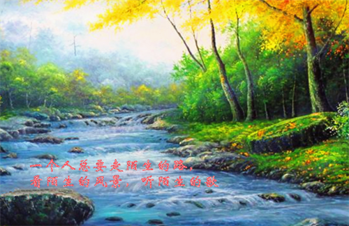 洛星如陆怀瑾（洛星如陆怀瑾）小说全文免费读无弹窗大结局_洛星如陆怀瑾小说全文免费阅读最新章节列表