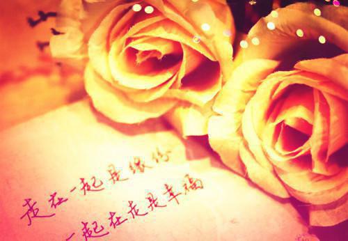 顾玖渔贺惟全文（顾玖渔贺惟全文）全文免费阅读无弹窗大结局_贺惟顾玖渔新章节列表_笔趣阁（顾玖渔贺惟全文）