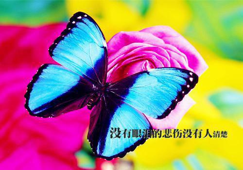 我的土豪继父小说(祁越钱糖糖)全文免费阅读无弹窗_(我的土豪继父小说全文免费阅读)最新章节列表笔趣阁（我的土豪继父）