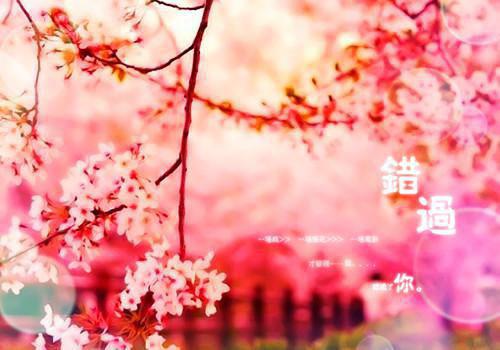 半熟男女:这里没有善男信女全文免费阅读(何知南)全文免费何知南无弹窗大结局_(小说免费半熟男女:这里没有善男信女)何知南免费何知南无弹窗最新章节列表_笔趣阁（何知南）