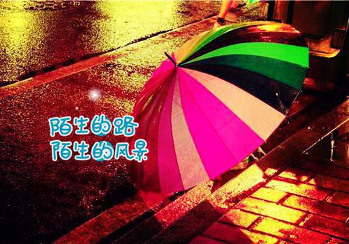 月光下的你叶清清沈从安(沈从安叶清清)全文免费阅读无弹窗大结局_ (沈从安叶清清免费阅读全文)沈从安叶清清免费阅读无弹窗最新章节列表_笔趣阁（沈从安叶清清）