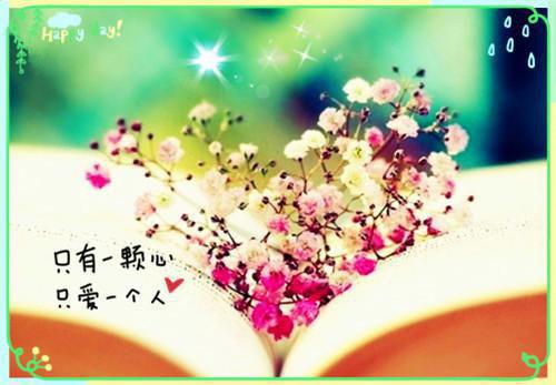 谢雨霖萧以恒小说（谢雨霖萧以恒）全文免费阅读_谢雨霖萧以恒最新章节列表笔趣阁（谢雨霖萧以恒）