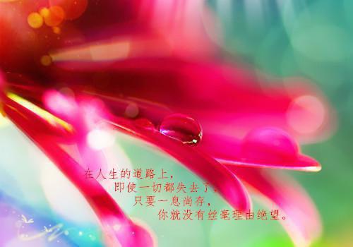 (热推新书)《幽兰为谁好小说》乔清秦宴州无广告阅读