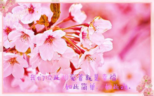 苏念念顾北庭(苏念念顾北庭小说免费阅读)小说_苏念念顾北庭章节免费阅读_笔趣阁