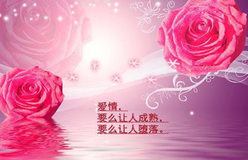 末日巨款（林琳顾时策）全文免费阅读_（林琳顾时策）末日巨款最新章节列表笔趣阁（末日巨款）
