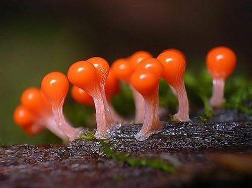 陈河图南荒统帅（陈河图南荒统帅）小说全文免费_陈河图南荒统帅（陈河图南荒统帅）最新章节目录笔趣阁（陈河图南荒统帅）