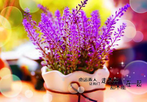 （花昕）全文免费阅读无弹窗大结局_大小姐医武双绝，他们好爱免费小说最新章节列表笔趣阁（花昕）