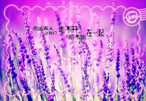 沈玲溪裴昱城小说全文免费阅读无弹窗大结局_沈玲溪裴昱城沈玲溪裴昱城最新章节列表_笔趣阁（沈玲溪裴昱城）