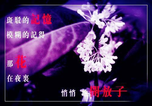 念念不忘皆过往陆时川（叶初晴陆时川）全文免费阅读无弹窗大结局_（叶初晴陆时川）念念不忘皆过往陆时川全文免费完结版阅读