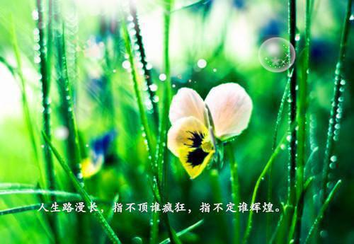 吕月窈蒙毅小说txt吕月窈完本在线小说免费阅读