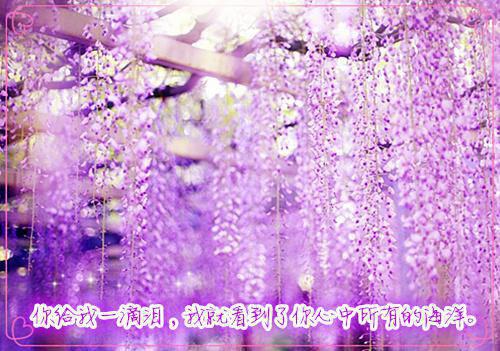 他们都喜欢我，想要和我在一起全文免费阅读(陆云深宋时微）小说全文免费陆云深宋时微无弹窗大结局_（陆云深宋时微）他们都喜欢我，想要和我在一起小说全文免费陆云深宋时微最新章节列表笔趣阁（陆云深宋时微）