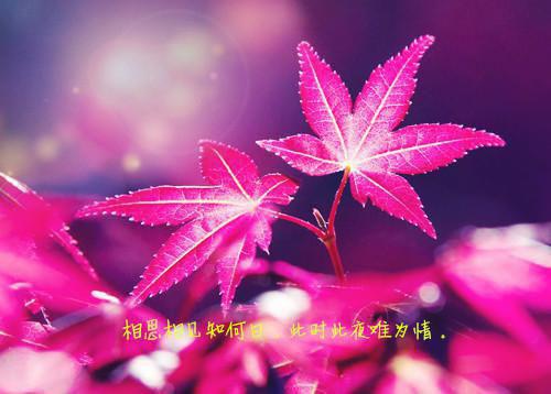 江暖顾斯年（顾斯年江暖）全文免费阅读无弹窗大结局_顾斯年江暖无弹窗最新章节列表_笔趣阁