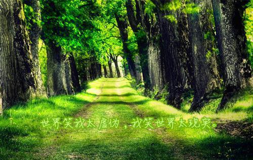 官道之权势滔天完结文（官道之权势滔天完结文）小说免费在线阅读_林峰宁欣全本最新后续阅读（官道之权势滔天完结文）