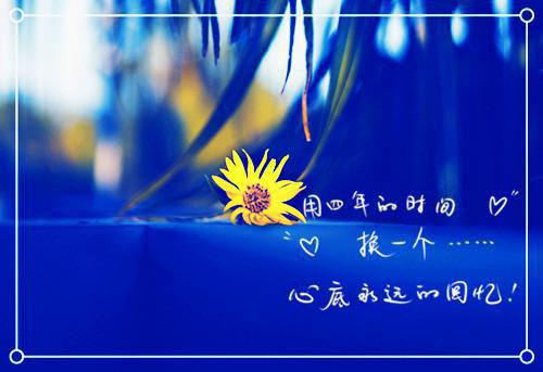 温若曦傅寒峥多人追热门小说傅寒峥温若曦最新章节免费阅读