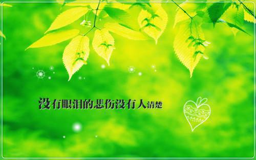 战北寒萧令月（战北寒萧令月）笔趣阁免费小说_战北寒萧令月笔趣阁全文阅读战北寒萧令月