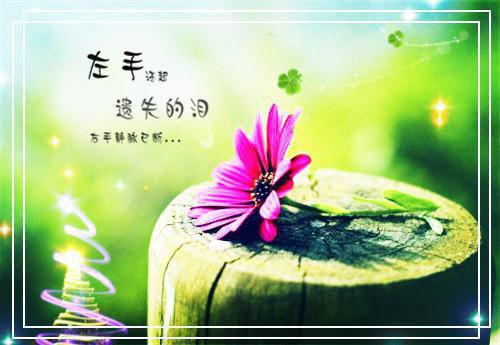 程菁顾凉云（程菁顾凉云）快手热推小说主角程菁顾凉云完整版在线阅读