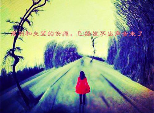 叶青槐时挽月全文阅读叶青槐时挽月完结版全章节阅读