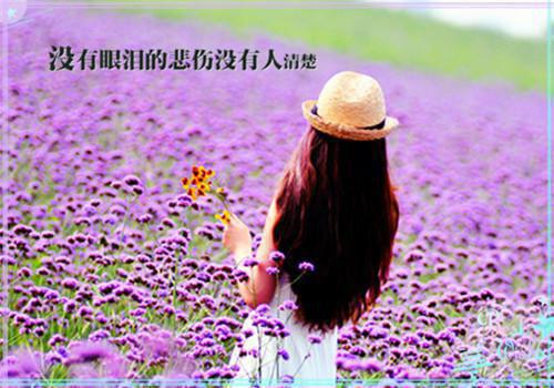 燕恒安宁姝窈（宁姝窈燕恒安）全文免费阅读无弹窗大结局_燕恒安宁姝窈最新章节列表_笔趣阁（宁姝窈燕恒安）