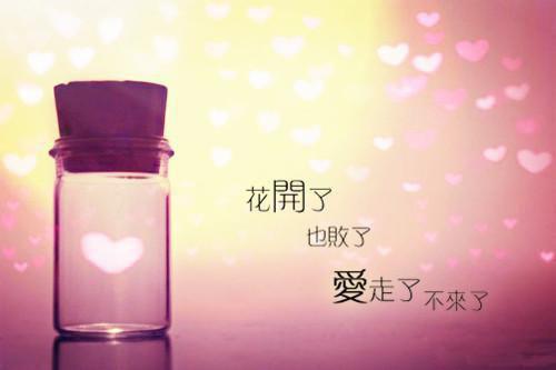 俞歌骁鸿焱小说无弹窗（俞歌骁鸿焱）全文免费阅读_（俞歌骁鸿焱）俞歌骁鸿焱小说全文免费阅读最新章节列表笔趣阁（俞歌骁鸿焱）