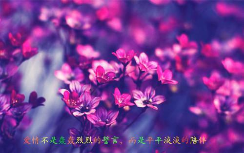 (番外)+(全文)宋婉婉顾沐笙全文下载阅读_(宋婉婉顾沐笙)宋婉婉顾沐笙全文最新章节列表_笔趣阁（宋婉婉顾沐笙）