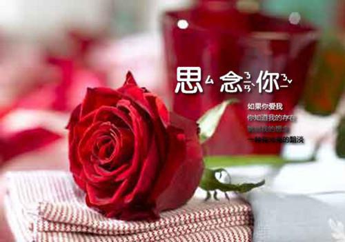 郁婼贺承觉（贺承觉郁婼）全文免费阅读无弹窗大结局_郁婼贺承觉_笔趣阁（郁婼贺承觉）