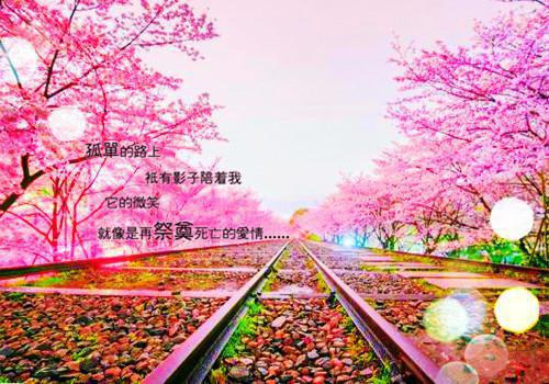 凌凝季临渊（凌凝季临渊）全文免费阅读无弹窗大结局_（凌凝季临渊小说阅读无弹窗）凌凝季临渊小说列表_笔趣阁（凌凝季临渊）