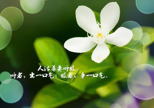 重生后手撕装千金的白眼狼《重生后手撕装千金的白眼狼》全文免费阅读无弹窗大结局_(重生后手撕装千金的白眼狼)