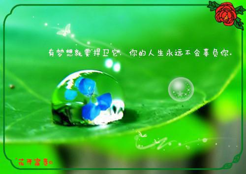 苏桐羽封禹完结（封禹苏桐羽）全文免费阅读无弹窗大结局_封禹苏桐羽完结最新章节列表_笔趣阁（封禹苏桐羽）
