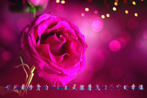 她死在了，他们约定的三十岁(叶青禾李承泽)全文在线叶青禾李承泽读无弹窗大结局_(她死在了，他们约定的三十岁叶青禾李承泽)她死在了，他们约定的三十岁在线叶青禾李承泽读无弹窗最新章节列表_笔趣阁(叶青禾李承泽)