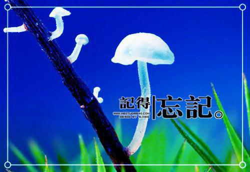 陆鹤顾桥全文免费阅读（蓝蓝采访:紫桃打分）全文在线陆鹤顾桥无弹窗大结局_(蓝蓝采访:紫桃打分在线陆鹤顾桥)最新章节列表_笔趣阁（陆鹤顾桥）